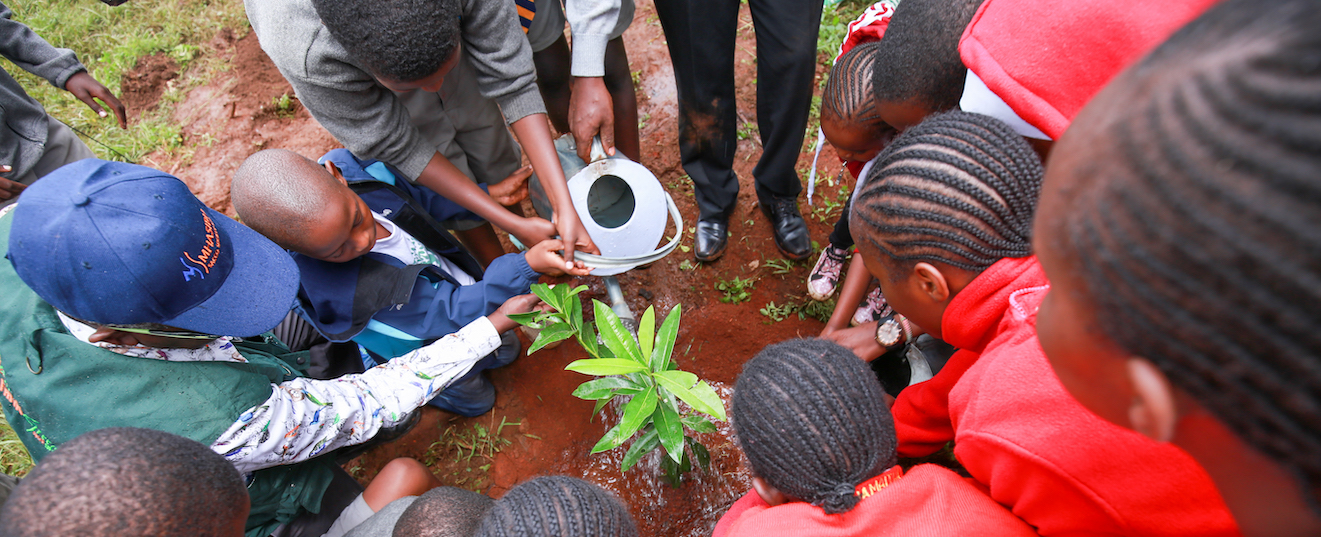 Citizens and Non-State Actors' role in Public Expenditure Management and Tracking. A case study of Marsabit County